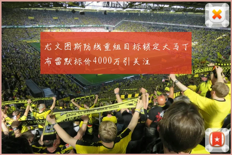 尤文图斯防线重组目标锁定大马丁布雷默标价4000万引关注